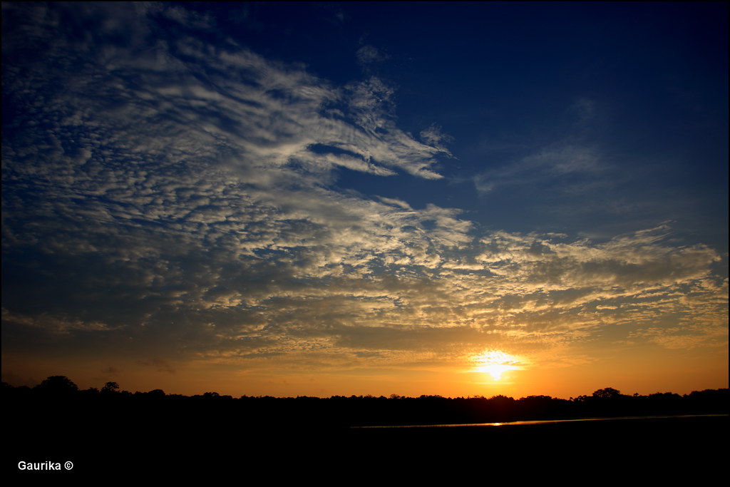 Sunset @ Wilpattu National Park by GaurikaW, on Flickr