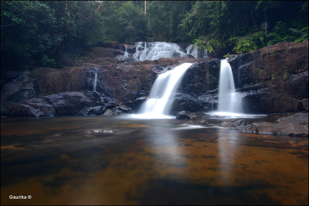 Tattu Ella @ Sinharaja Forest Reserve. by GaurikaW, on Flickr