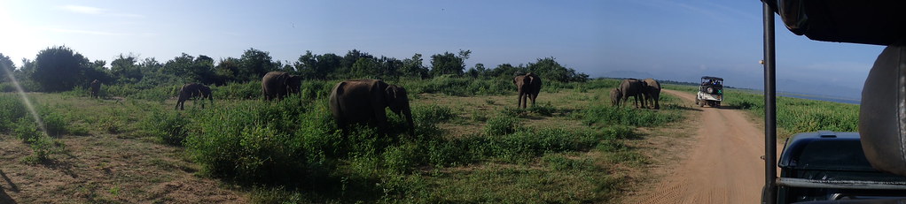 Udawalawe National Park, Sri Lanka by Jasmine Halki, on Flickr