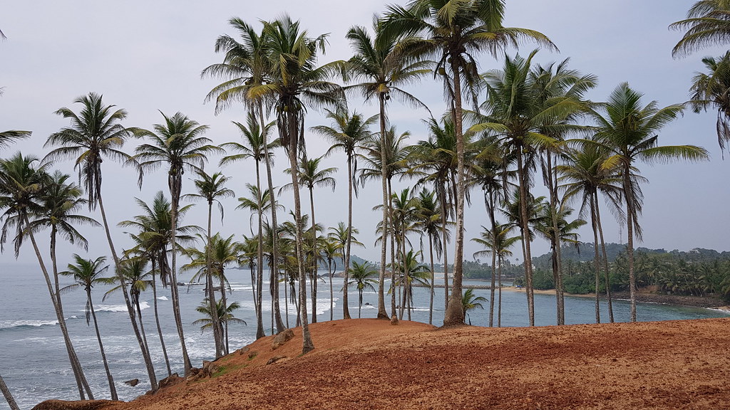 Coconut Tree Hill by Farah Yacoub, on Flickr